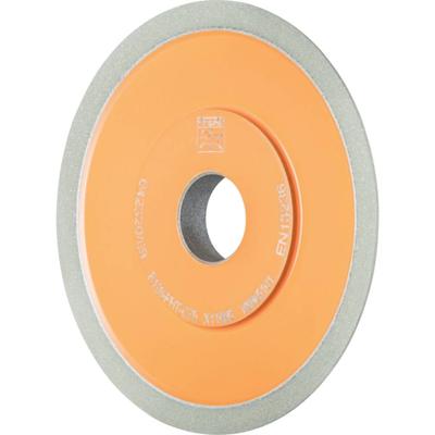 PFERD TOOLS 68665101 Schuurgereedschap Diameter 100 mm 1 stuk(s)