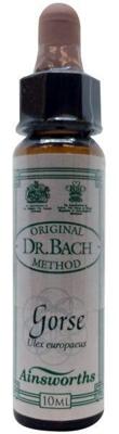 Ainsworths Gorse Bach 10 Milliliter Ainsworths Gorse Bach 10 Milliliter