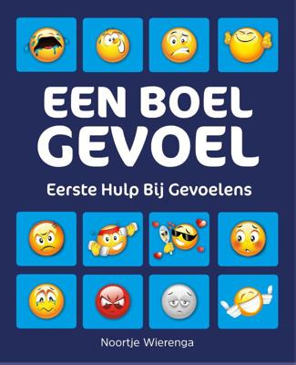 Een boel gevoel (Paperback)