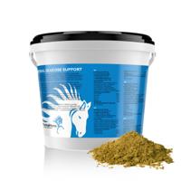 Herbal Glucose Support 1000