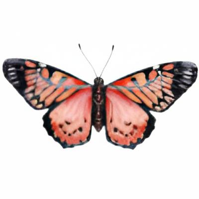 Pro Garden Wanddecoratie vlinder - rood - 49 x 34 cm - metaal - muurdecoratie / schutting / tuin