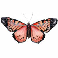 Pro Garden Wanddecoratie vlinder - rood - 49 x 34 cm - metaal - muurdecoratie / schutting / tuin