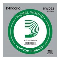 D'Addario NW022