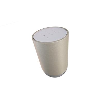 Denon Home 200 Zilver Denon Home 200 Zilver