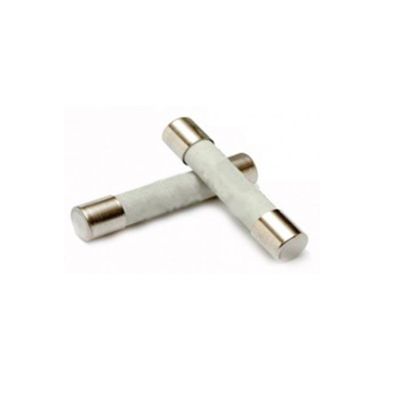 BENNING Zekeringen 315 mA t.b.v. IT 101 (10 stuks)