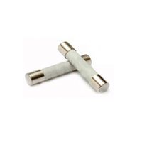 BENNING Zekeringen 315 mA t.b.v. IT 101 (10 stuks)
