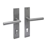 Intersteel SKG3 veiligheidsbeslag achterdeur rechthoek 250x50mm kruk/kruk Jura PC92 kerntrekbeveiliging - PVD RVS getrommeld