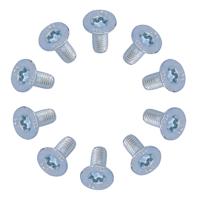 ANP SCHROEF M4X10 TORX ZELFTAPPER VERZ KOP DS A 10