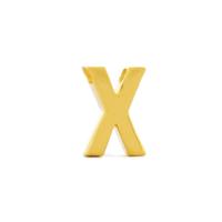 Imotionals Kettinghanger Letter X Goud