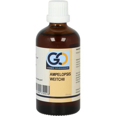 GO Ampelopsis weitchii BIO