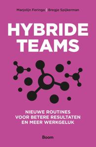 Hybride teams (Paperback)