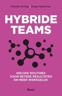 Hybride teams (Paperback)
