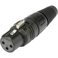 Hicon HI-X3FT XLR-connector Bus, recht Aantal polen: 3 Zwart 1 stuk(s) - thumbnail