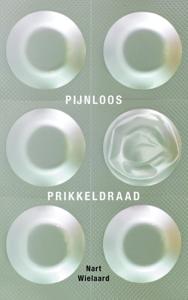 Pijnloos prikkeldraad - Nart Wielaard - ebook