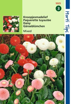 Bellis Perennis Pomponette Gemengd - Hortitops