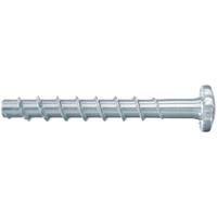 Fischer 546377 ULTRACUT FBS II 6x30/5 P Betonschroef 6 mm 30 mm TX Staal Galvanisch verzinkt 100 stuk(s)