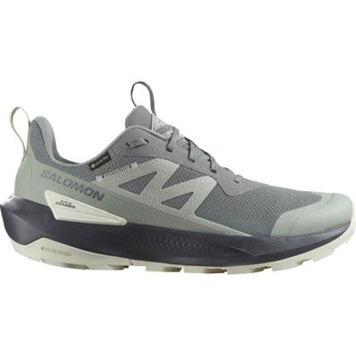 Salomon ELIXIR ACTIV GORE-TEX Lage Wandelschoen Heren Sedona Sage/Wrought Iron/Nine Iron 10