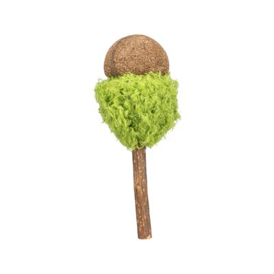 Kattenspeeltje Trixie Lolli XXL Groen Kattenspeeltje Trixie Lolli XXL Groen