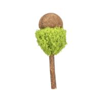 Kattenspeeltje Trixie Lolli XXL Groen Kattenspeeltje Trixie Lolli XXL Groen