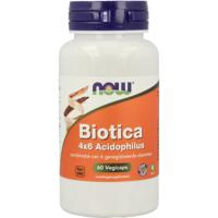 NOW Biotica 4x6 vh probiotica