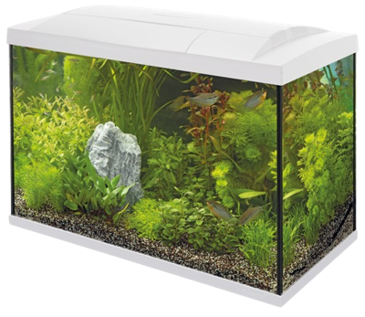 Superfish Start 100 tropical aquarium wit
