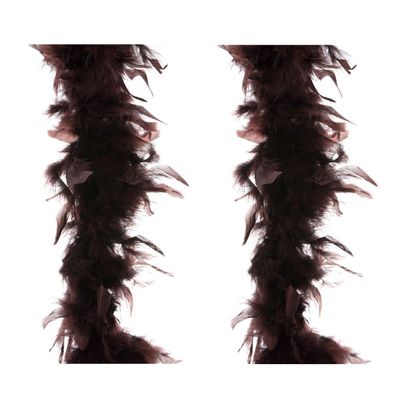 2x stuks carnaval verkleed veren Boa kleur bruin 2 meter