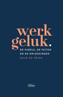 Werkgeluk - Dajo De Prins - ebook