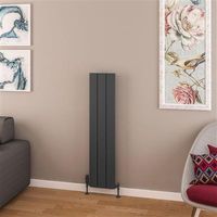 Eastbrook Withington radiator 30x120cm aluminium 559W antraciet - thumbnail