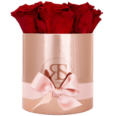 Flowerbox longlife Zara rood Flowerbox longlife Zara rood