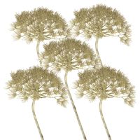 Set van 5x stuks berenklauw / Heracleum kunstbloem 80 cm