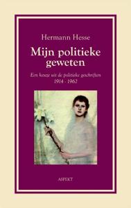 Mijn politieke geweten (Paperback)