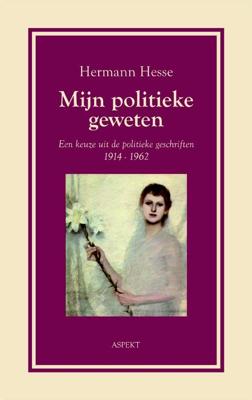 Mijn politieke geweten (Paperback)