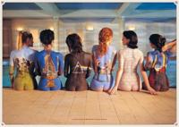 Poster Pink Floyd - Back Catalogue 91,5x61cm Poster Pink Floyd - Back Catalogue 91,5x61cm