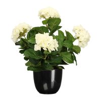 Hortensia kunstplant/kunstbloemen 45 cm - wit - in pot zwart glans