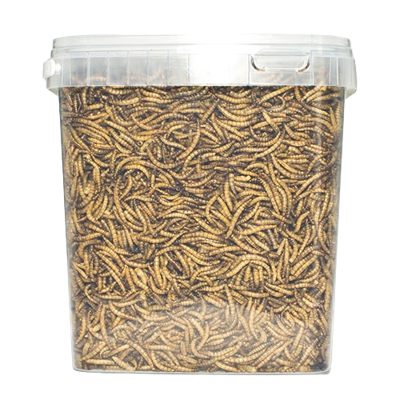 VB Meelwormen - 5 liter