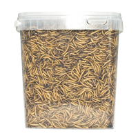 VB Meelwormen - 5 liter