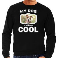 Honden liefhebber trui / sweater Staffordshire bull terrier my dog is serious cool zwart voor heren - thumbnail