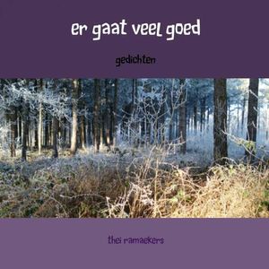 Er gaat veel goed - Thei Ramaekers - ebook