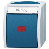 ABB 2CKA001085A1610 Schakelaar IP44 Grijs-wit (RAL 7035), Blauw-groen ABB 2CKA001085A1610 Schakelaar IP44 Grijs-wit (RAL 7035), Blauw-groen