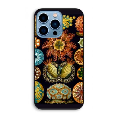 Haeckel Ascidiae: iPhone 13 Pro Biologisch afbreekbaar hoesje