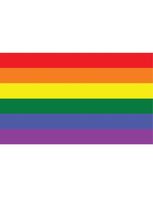 Regenboog vlag 90x150cm - thumbnail