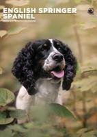 Engelse Springer Spaniel A3 Kalender 2026