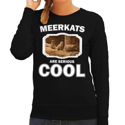 Dieren stokstaartje sweater zwart dames - meerkats are cool trui