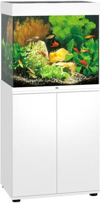 Juwel aquarium Lido 120 LED met filter wit - Gebr de boon