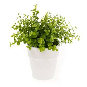 Emerald Kunstplant eucalyptus - groen - in witte pot - 22 cm - Kunstplanten