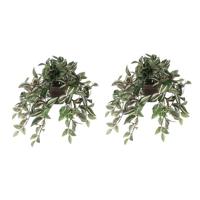 2x Groene Tradescantia/vaderplant kunstplanten 44 cm in pot