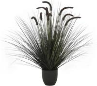 Kamgras in pot 90 cm zwart - Hortus