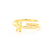Imotionals Ring Letter X Goud