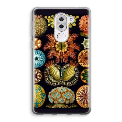 Haeckel Ascidiae: Honor 6X Transparant Hoesje