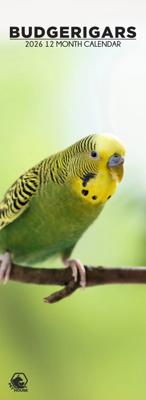 Grasparkieten Slimline Kalender 2026